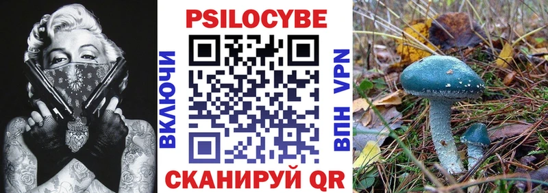 Галлюциногенные грибы Psilocybe  Купить  Кондопога 